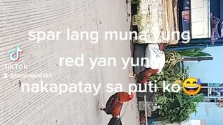 spar mona tayo,