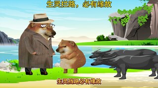 生灵拦路，必有缘故！