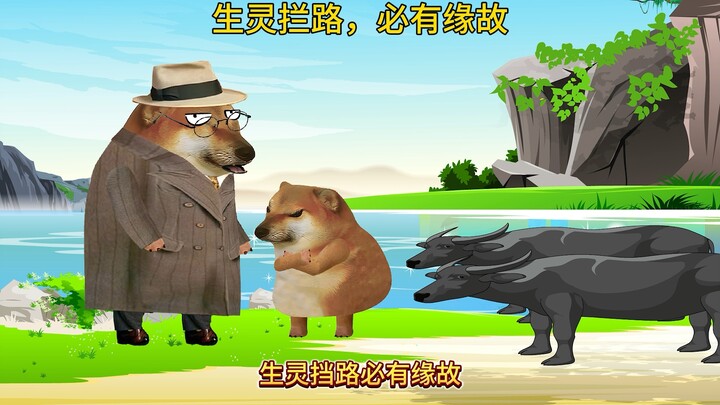 生灵拦路，必有缘故！