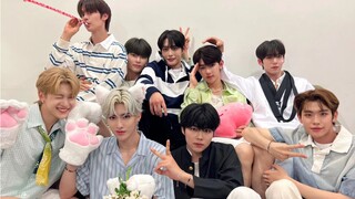 【تتابع رقص ZB1】 تصنيف التفضيلات الشخصية! المركز الأخير يستحقه حقًا