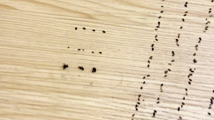 Bó tay, sao lại thiếu nhiều thế này nhỉ?