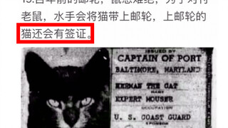 Những bức ảnh tuyệt đẹp trong lịch sử