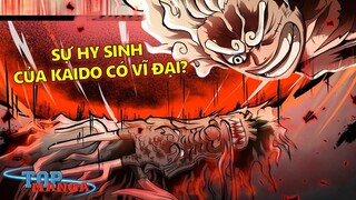 [SOI ẨN Ý]. Tương lai thế giới sau chap 1049, Sự hy sinh của Kaido có vĩ đại?