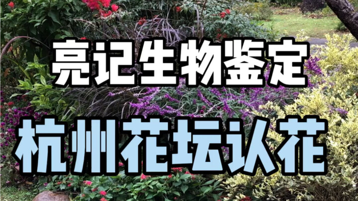 【Identifikasi Biologis Liangji】Mengenali Bunga di Taman Hangzhou