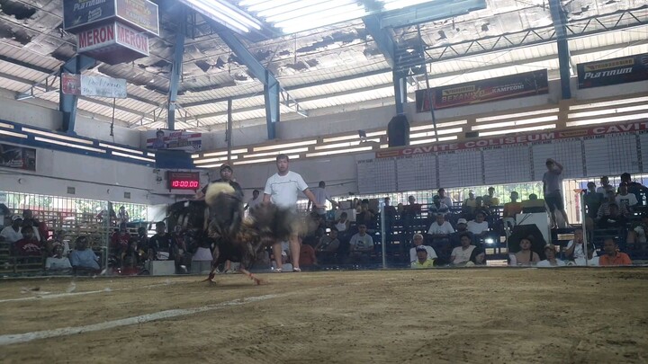 sweater grey. cavite coliseum