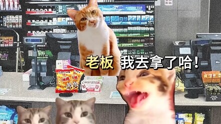 At this moment, the boss is just one of the kids too!