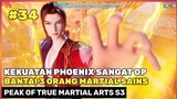 INILAH KEKUATAN PHEONIX SEJATI 🔥‼️ - DONGHUA PEAK OF TRUE MARTIAL ARTS PART 34 SEASON 3