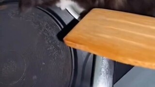 High-end ingredients often require the simplest cooking methods