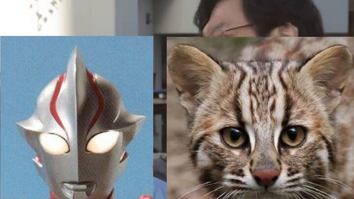 Xếp hạng ngoại hình của Ultraman Heisei cũ, từ nóng bỏng đến lôi cuốn, tổng cộng năm cấp độ