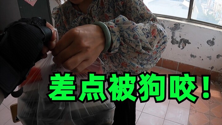 สาวน้อย: โตขนาดนี้แล้วยังกลัวหมาอีกเหรอ? ไรเดอร์ส่งอาหาร: มันดุมากเลย!