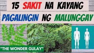 MALUNGGAY - mga sakit na kayang PAGALINGIN at BENEPISYO nito sa katawan | GAMOT, BENEFITS ng MORINGA