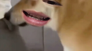 你屁股是死了吗！