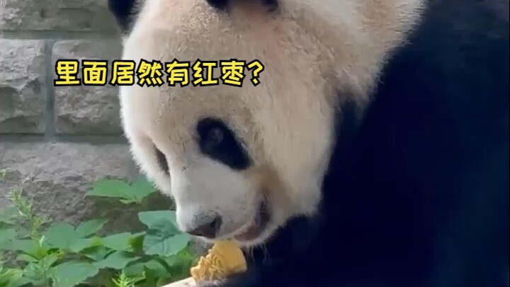 Mengmeng took a bite of the mooncake and was surprised to find it had filling, pausing for a second.