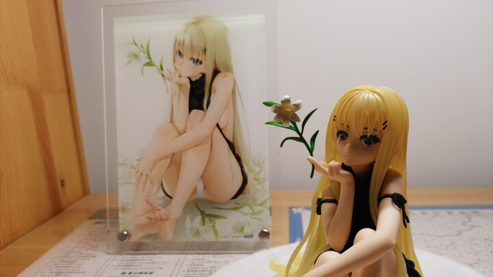 [Gambar Unboxing] Gambar Jiang Xili Seri Cermin Wanhua