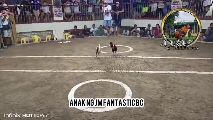 Champion ang Anak ng JM Fantastic dome BC!