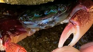 Guys, it's time to eat!