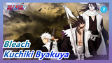 [Bleach] [Kuchiki Byakuya] For My Honor, There Is Nothing Can't Be Killed_2