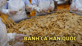 Nhà máy sản xuất hàng loạt bánh cá Hàn Quốc | Food Kingdom