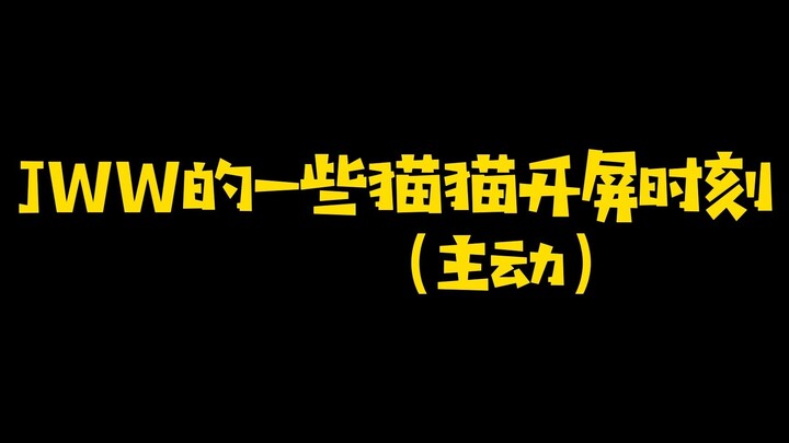 【โย่วฮุย】แมว แมว เปิดหน้าจอ 1.0