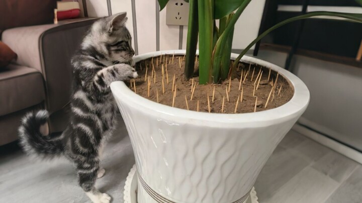"This HR person really quit without any sense of decency!"