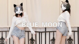 [พี่แมวหัว] หลงขาสวย! น้องแมวจอมพลัง! โคฟเวอร์เพลง "Blue Moon" ของฮโยริน