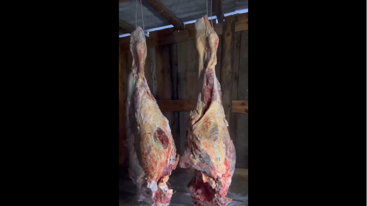 Friends from Northern Russia Are Preparing Meat for the Winter