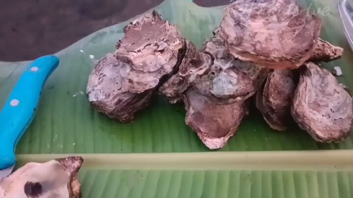 Balut at Talaba eating in the sea|mukbang Philippines q