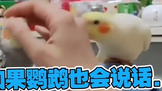 Green Tea vs. Tsundere ④
