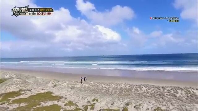 E273 Law of the Jungle - New Zealand