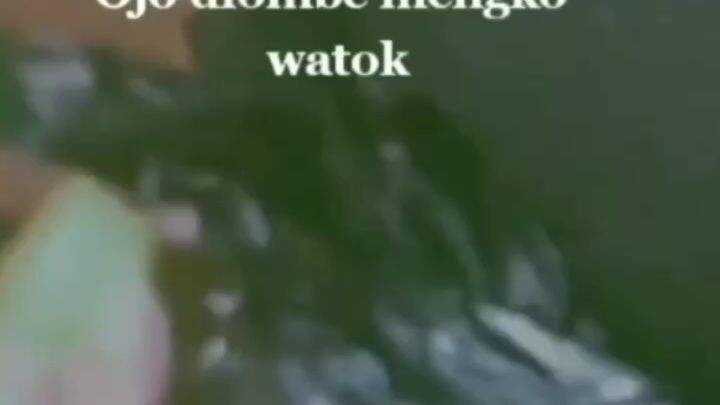 story wa