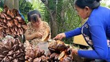 Nàng Út Ống Tre đi chặt dừa nước về làm món dừa nước dầm đá đường || món ngon tuổi thơ