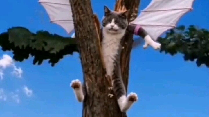 Ini adalah “Tom and Jerry” yang pernah kamu tonton