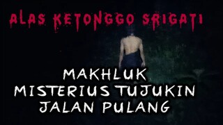 Tersesat di alas ketonggo