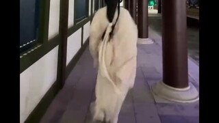 Meski manusia-mesin, hasilnya tetap ciamik! #tipsfotografi #manusiamesin #posefotografi #anugerahaku