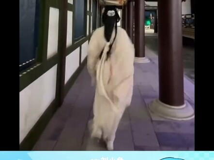 It's AI-generated, but the photos look amazing! #PhotographyTips #AIGenerated #PhotoPoses #Marketing