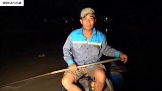 Chụp Chim Ban Đêm _ Hunting Birds at Night _ 5