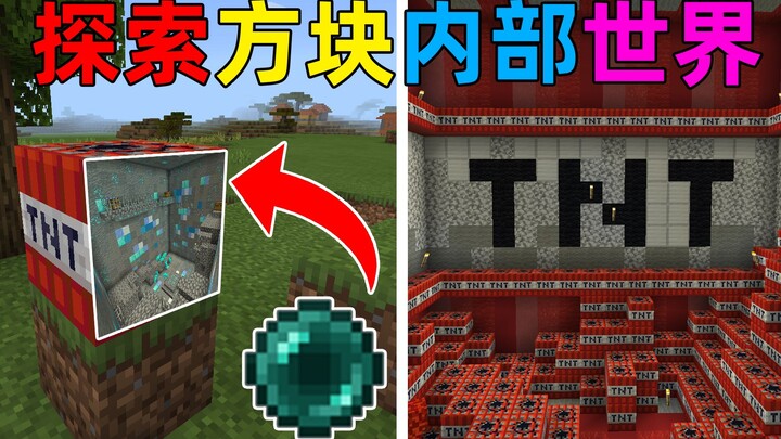 MC: Saat kamu bisa masuk ke dunia dalam semua blok? Bahkan batuan dasar pun bisa dimasuki! Minecraft