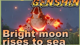 Bright moon rises to sea