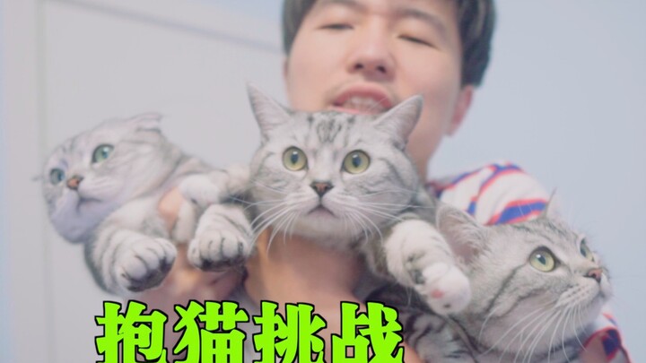 I heard the cat-hugging challenge is all the rage—my cats are so fed up they can’t stand it anymore!