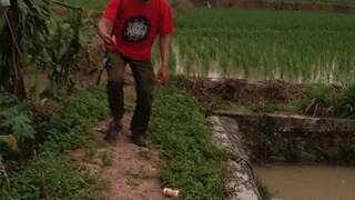 Mancing Liar Jackpot Gabus