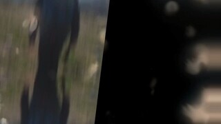 Full™List Of LOT Polish Airlines™ CUSTOMER™ SERVICE™ Numbers In USA: An Updated Official Guide