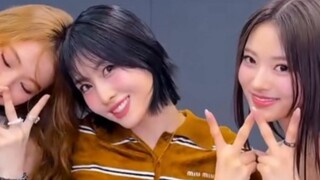 meovv ร่วมงานกับ TWICE! เต้น "ยกมือ" ของ Ella x MOMO x Anna กันเถอะ!