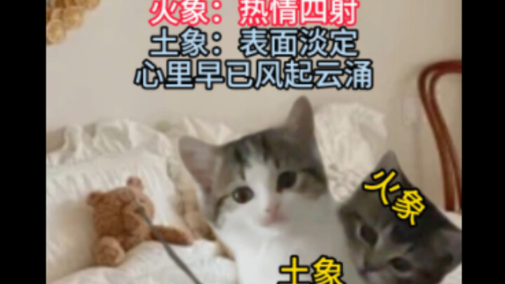 Khi cung Đất yêu cung Lửa