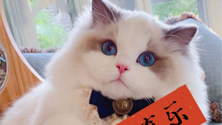 Chàng trai ngọt ngào thế này rốt cuộc vẫn là của tôi