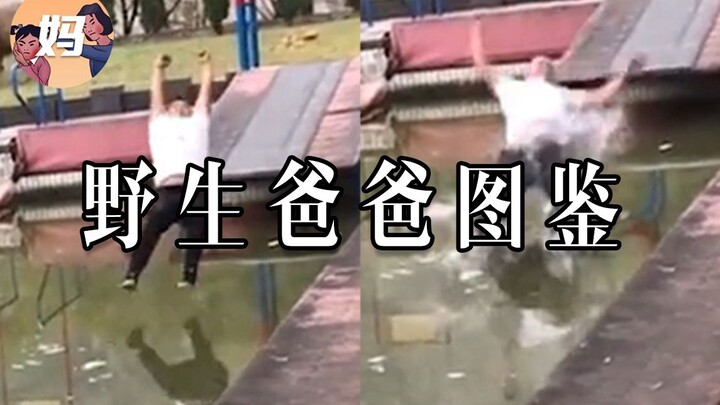 【คู่มือมนุษย์ป่า】เชื่อฟังคำพ่อ!