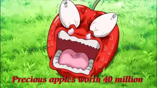 【Toriko: Gourmet Survival】The apples get costly when they're scared!