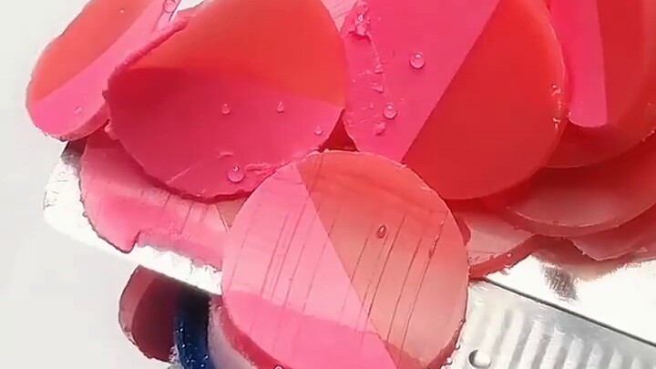 When a capybara turned into a female celebrity in the entertainment industry