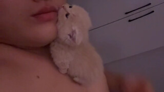 كم يمكن للقطة الصغيرة في الرابعة صباحًا أن تُزعج الإنسان!