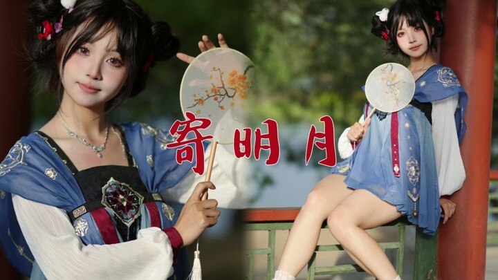 【猫猫】将相思寄明月