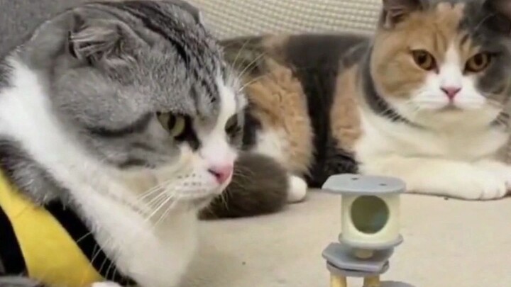 The Current State of Online Shopping Among Today's Consumers